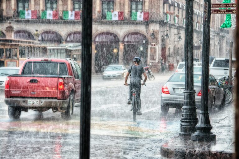 Antrag zum Schutz vor Extremwetter am Parkplatz an der August-Bebel-Straße